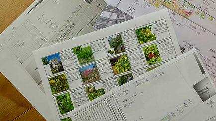 小学校のフォレストガーデンプロジェクト